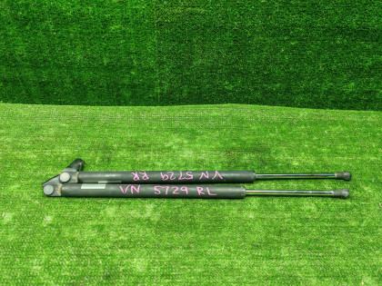 Амортизатор багажника ER3P